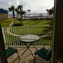 Photo of Sand Dollar IV