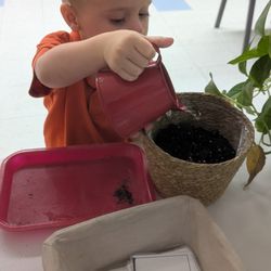 Taking care of our plants