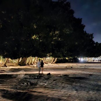 D'Mall - night walk to D'Mall - Shopping Centers Near Me - Malay, ABR D'Mall - night walk to D'Mall - Shopping Centers Near Me - Malay, ABR