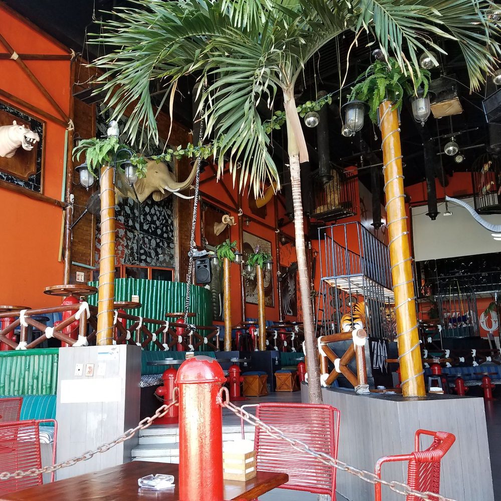 Zoo - Dance Clubs Near Me - Puerto Vallarta, JAL Zoo - Dance Clubs Near Me - Puerto Vallarta, JAL