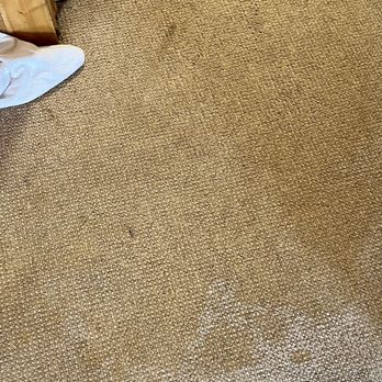 Vacasa - Stained carpet when water not cleaned up properly - Vacation Rentals Near Me Vacasa - Stained carpet when water not cleaned up properly - Vacation Rentals Near Me