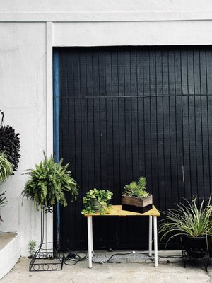 Native Coffee by null