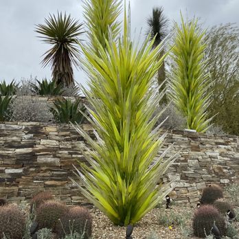 Desert Botanical Garden - Chihuly glass - Botanical Gardens Near Me - Phoenix, Arizona Desert Botanical Garden - Chihuly glass - Botanical Gardens Near Me - Phoenix, Arizona