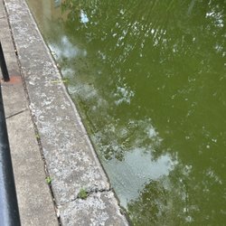Fairfax Rehabilitation and Nursing Center - Pond in the garden