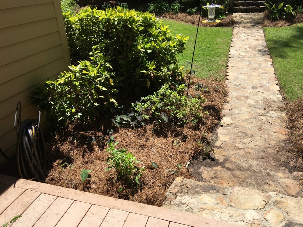 MITCHELL’S LAWN CARE 25 Photos 711 Lee Rd 279, Salem, Alabama