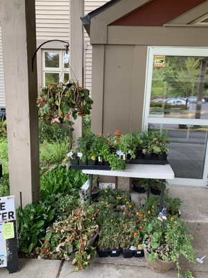 Northshore Senior Center by null