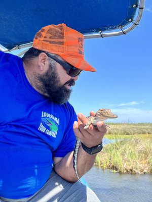 Gators and Ghosts: New Orleans Tours by null