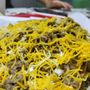 Photo of Alfredo's Mexican Food
