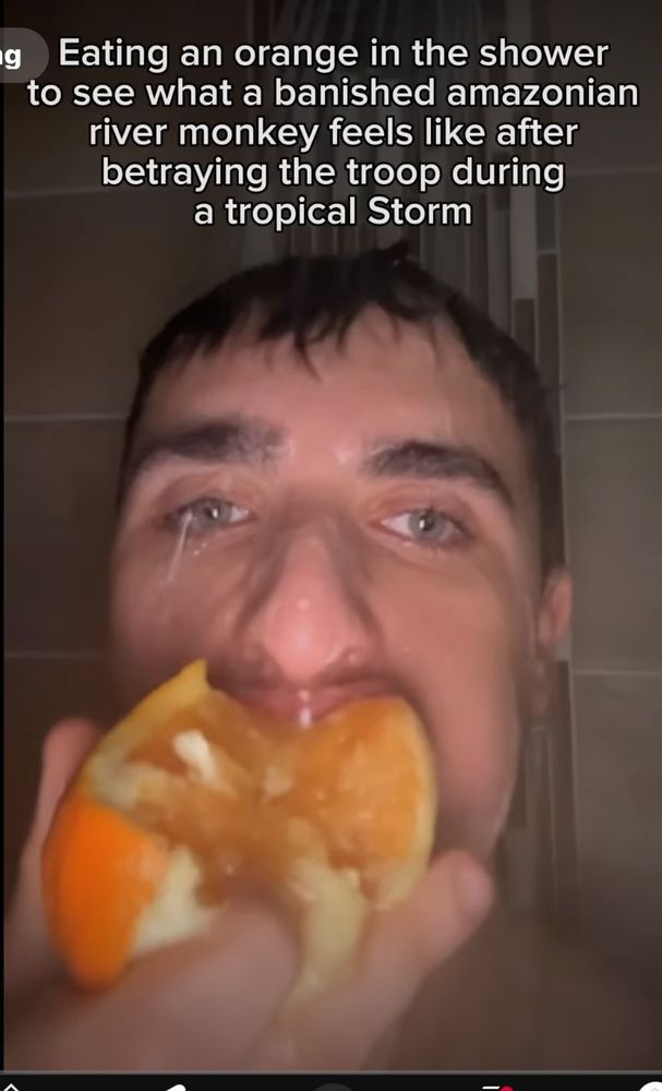 Del Amo Behavioral Health System - grief counselor in Torrance, CA