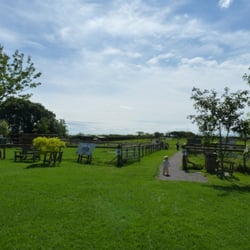 The Amelia Trust Farm