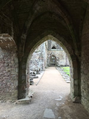 Tintern Abbey by null
