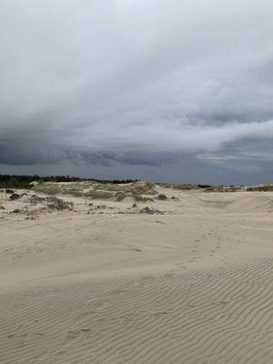 Råbjerg Mile by null