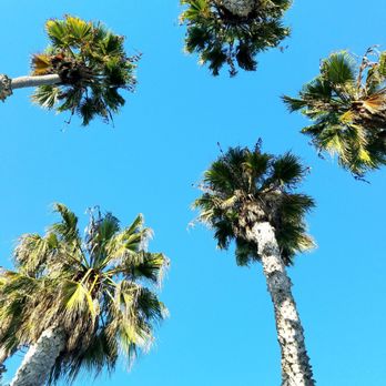 South Beach Park - Breathing easier now - Parks Near Me - Santa Monica, California