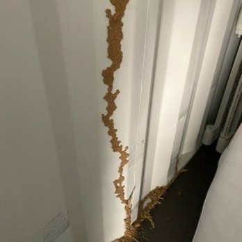 The Bug Police - Termite mud tubes inside of a metal storage container - Pest Control Near Me - Longview, Texas The Bug Police - Termite mud tubes inside of a metal storage container - Pest Control Near Me - Longview, Texas