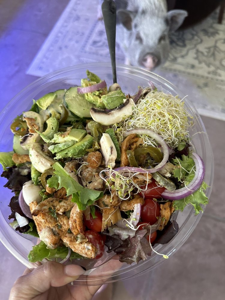 BEYOND BREAD Updated October 2024 346 Photos & 514 Reviews 6260 E