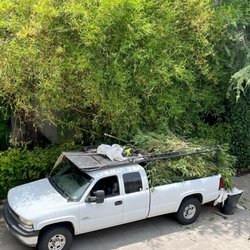 John’s Yard Clean-Up Service