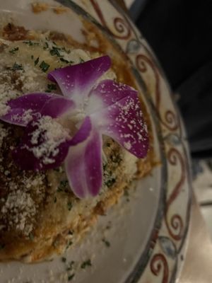 Maurizio's Trattoria Italiana by null
