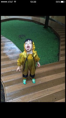 Elements, the Nature Preschool, New York by null