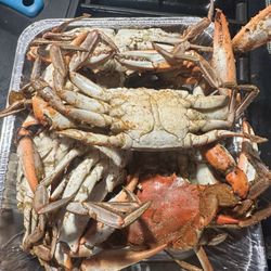 Ruff N Ready Crab House