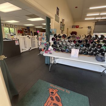 My Dog's Place - Pet Training Near Me - East Lyme, Connecticut My Dog's Place - Pet Training Near Me - East Lyme, Connecticut