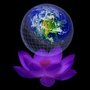 Photo of Earthrise Web Design