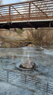 Greenough Park by null