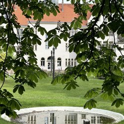 Vivantes Auguste-Viktoria-Klinikum - AVK die schöne Seite