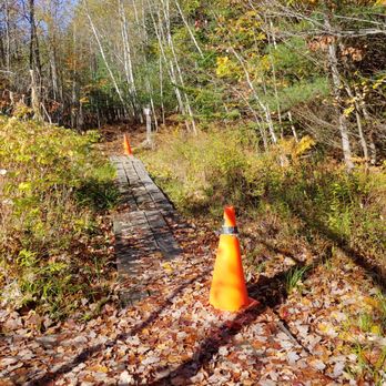 Cathance River Nature Reserve Trails - Hiking Near Me - Topsham, Maine