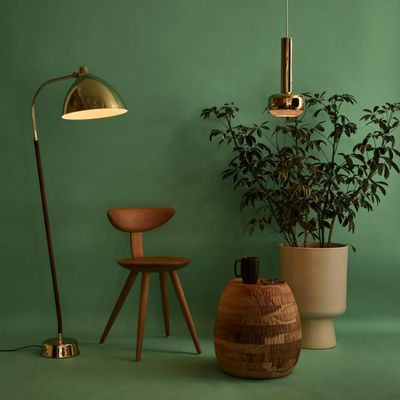 Two Enlighten by null