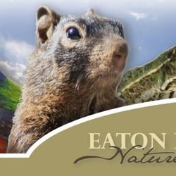 Eaton Hill Wildlife
