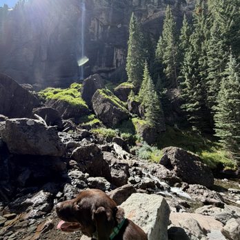 Bridal Veil Falls trail - Luna at main waterfall - Hiking Near Me