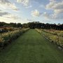 Photo of Sweet Magnolia Farmstead