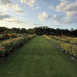 Sweet Magnolia Farmstead