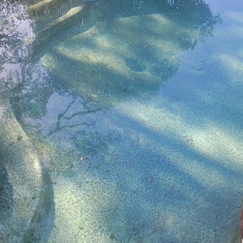 Blue Curl Pool Service - Our entry steps...GREEN!!! - Pool Cleaners Near Me - Garden Valley, California