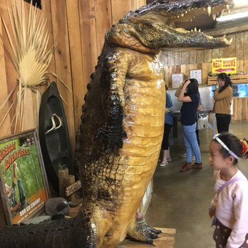Airboat Adventures - Boat Tours Near Me - Lafitte, Louisiana