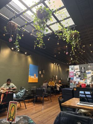 The Eleventh House by null