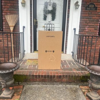 Costco - Online Costco purchase of 0.738 Gallon Emerald Green Arborvitae 3-pack conveniently delivered to my home - Wholesale Stores Near Me - Harrisburg, Pennsylvania