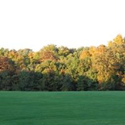 Royal Oaks Golf Course - Fall color on #10