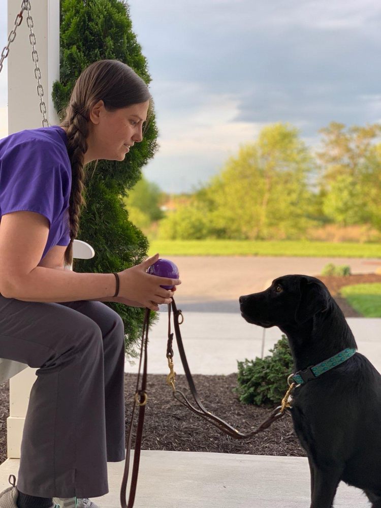 HEALING PAWS VETERINARY CARE Updated August 2024 16 Photos 7