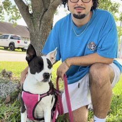 Wagsterz Official