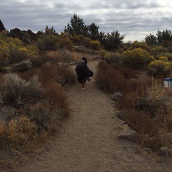 Pine Nursery Park - Dog Parks Near Me - Bend, Oregon