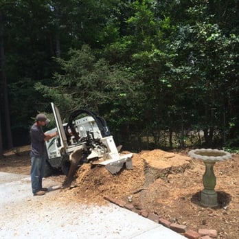 Stump Eliminator - Thanks for calling Stump Eliminator Inc. - Tree Services Near Me Stump Eliminator - Thanks for calling Stump Eliminator Inc. - Tree Services Near Me