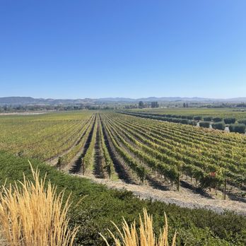 Gloria Ferrer Winery - View from our table - Wineries Near Me - Sonoma, California Gloria Ferrer Winery - View from our table - Wineries Near Me - Sonoma, California