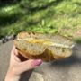 Photo of Barrister's Bagels