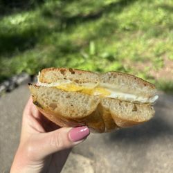 Barrister's Bagels - Jalapeño cheddar bagel with egg and cheese