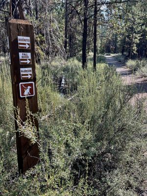 LaPine State Park by null