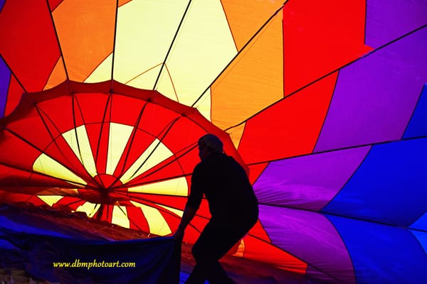 Pimlico Race Course by null