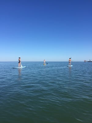 Windsurf Inc. / South Padre Kiteboarding by null