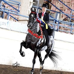 Stone Hurst Riding Center
