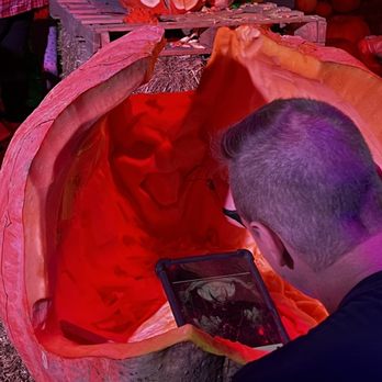 Pumpkin Nights - Pumpkin carvers working live. - Festivals Near Me - Arlington, Texas Pumpkin Nights - Pumpkin carvers working live. - Festivals Near Me - Arlington, Texas